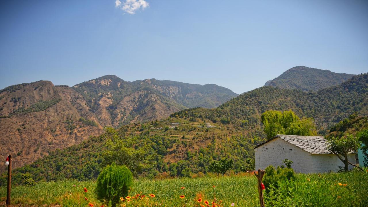 Shakoon Camps & Campsite